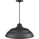 R Series 1 Light 20 inch Satin Black Indoor Pendant Ceiling Light